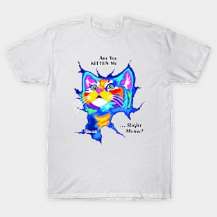 PicatsoCats Suprised-Cat T-Shirt